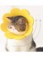 Sarı Stil L Beden Ayçiçeği Şekilli Kedi Kurtarma Yaka Elizabethan Yaka Kitten Puppy x Için Yara Iyileştirici Koruyucu Koni (Yurt Dışından) 3
