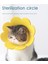 Sarı Stil L Beden Ayçiçeği Şekilli Kedi Kurtarma Yaka Elizabethan Yaka Kitten Puppy x Için Yara Iyileştirici Koruyucu Koni (Yurt Dışından) 5