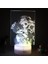 Hayranları Için Anime Tuvalet Bağlı 3D Gece Lambası 16 Renkler Dekor Illusion Uzaktan Kumandalı LED Lamba, Manga Tuvalet Bağlı Şekil Noel Hediyesi Oyuncaklar Çocuklar/erkekler (Yurt Dışından) 4