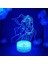 Bleaoh Anime 3D Erkek Için Gece Lambası 16 Renk Kız Odası Dekor Illusion LED Lamba USB Manga Grimmjow Jaegerjaquez Şekil Uygun Çocuklar Hayranlar Noel Hediyeleri (Lav Lambası) (Yurt Dışından) 1