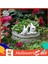 Helloworld Tavşan Saksı Süsleme Göz Alıcı Heykel Tavşan Saksı (Yurt Dışından) 5