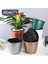 Yeşil Orman Saksı Otomatik Su Emme Kendinden Sulama Ekici Pot (Yurt Dışından) 3