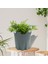 Saksı Pürüzsüz Kenar Modern Ofis Etli Saksı (Yurt Dışından) 2