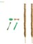 2x Hindistan Cevizi Palmiye Sarmaları Tırmanma Bitkileri Için Çubuk Uzatma Monstera Saksı 60CM (Yurt Dışından) 1