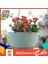 Helloworld Bitki Askısı Hafif Süspansiyon Tasarımı Bitki Tutucu (Yurt Dışından) 4