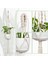 Hang Planters 3'lü Paket Tek Katlı Bitki Makrome Askıları (Yurt Dışından) 1