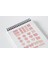 Potikareli Sticker Seti Planner Ajanda Bullet Journal Için Uygun Set 2