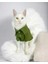 Grass Green Kedi Gömleği Kedi Kıyafeti Kedi Elbisesi 1