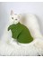 Grass Green Kedi Gömleği Kedi Kıyafeti Kedi Elbisesi 2