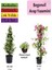 Serada Decor Plant Arap Yasemini+ Pembe Begonvil+ Mezem Çiçeği Hediyeli 1