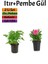 Yoğun Kokulu Itır + Pembe Gül Fidanı (10-15 Cm) Saksılı Dış Mekan Bitkileri 1