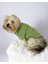 Grass Green Köpek Gömleği Köpek Kıyafeti Köpek Elbisesi 3