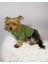 Grass Green Köpek Gömleği Köpek Kıyafeti Köpek Elbisesi 5