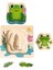 Katmanlı Kurbağa Yaşam Döngüsü Ahşap Puzzle 2