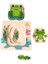 Katmanlı Kurbağa Yaşam Döngüsü Ahşap Puzzle 3