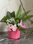 Bahar Dalı Çiçek Aranjmanı-Spring Branch Flower Arrangement 3