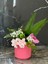 Bahar Dalı Çiçek Aranjmanı-Spring Branch Flower Arrangement 4
