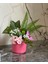 Bahar Dalı Çiçek Aranjmanı-Spring Branch Flower Arrangement 1