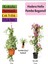 Hedera Helix Sarmaşığı+ Pembe Begonvil+ Kurdele Çiçeği Hediyeli 1