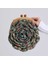 Vintage Organic Hand Paint Lady Bırd SE709 4