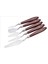 5 Li Metal Spatula Seti Spatul Akrilik Yağlı Boya Hobi Çalışmalar 2