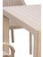 Camsız Kapiçino 90X90 cm Rattan Bahçe Balkon Masası 3