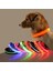 15-Usb Stili 28-40CM Pet USB Şarj Edilebilir LED Köpek Yaka Gece Güvenliği Yanıp Sönen Pet Malzemeleri Köpek Aksesuarları Için Köpek LED Yaka (Yurt Dışından) 2