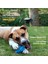 Mavi Stil Agresif Chewers Için Gıcırtılı Köpek Oyuncakları Kauçuk Köpek Çiğneme Topu Neredeyse Yok Edilemez ve Dayanıklı Pet Oyuncak Köpek Topu Oyuncak (Yurt Dışından) 4