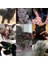 Kırmızı Stil 15-20KG Oft Pet Tırnak Kapakları Köpekler ve Kediler Paws Tımar Tırnak Pençeleri Kapaklar 1 Çeşit Yapıştırıcı Tutkal Kapakları Evcil Hayvan Malzemeleri (Yurt Dışından) 2