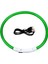 Yeşil Stil LED USB Köpek Tasması Pet Köpek Gece Aydınlık Şarj Yaka LED Gece Güvenliği Yanıp Sönen Glow Köpek Kaybını Önleme Yaka Pet Aksesuar (Yurt Dışından) 1