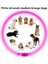 Yeşil Stil LED USB Köpek Tasması Pet Köpek Gece Aydınlık Şarj Yaka LED Gece Güvenliği Yanıp Sönen Glow Köpek Kaybını Önleme Yaka Pet Aksesuar (Yurt Dışından) 5