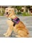 Etiket Stili ile A15 Kırmızı Xxl Ayarlanabilir Naylon Köpek Koşum Yansıtıcı Köpek Tasması Kişiselleştirilmiş Köpek Koşum ve Tasma Seti Küçük Orta Büyük Köpek Koşum Yelek (Yurt Dışından) 3