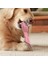 Mavi Stil Agresif Chewers Için Pet Köpek Çiğneme Oyuncaklar Dağıtım Kauçuk Büyük Irk Köpek Cızırtılı Diş Temizleme Oyuncak Pet Malzemeleri (Yurt Dışından) 4