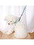 No.1 Tarzı S Beden Ayarlanabilir Köpek Kedi Koşum Tasma Yelek Tasma Köpek Küçük Köpek Tasması Çok Boyutlu Tasma Köpek Kedi Açık Hava Etkinlikleri (Yurt Dışından) 4