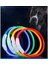 Mavi Stil 35CM Ayarlanabilir USB Şarj Pet Köpek Tasması Şarj Edilebilir LED Tüp Yanıp Sönen Gece Köpek Tasmaları Parlayan Aydınlık Güvenlik Evcil Hayvan Yaka Yxl (Yurt Dışından) 2