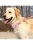 Pembe Set Stili L Beden Özelleştirilmiş Köpek Yaka Tasma Seti Papyon Ayarlanabilir Köpek Tasmaları ile Yüksek Li Kişiselleştirilmiş Pet Tasmalar Tasma Ücretsiz Gravür (Yurt Dışından) 5