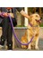Pembe Tarzı S Beden 1.2m Uzunluk Çift Telli Halat Büyük Köpek Tasmalar Metal P Zincir Toka Ulusal Renk Pet Çekiş Halat Yaka Büyük Köpekler Için Set (Yurt Dışından) 3