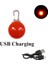 Kırmızı USB Stili S Beden USB Şarj Edilebilir Pet Köpek LED Parlayan Kolye LED Flaş Işıkları Pet Yolları Aksesuarlar Karanlıkta Parlıyor Parlak Kolye Köpek Tasması (Yurt Dışından) 1