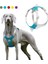 Yeşil Stil Xxl Pet Köpek Koşum Yelek Hiçbir Çekme Yansıtıcı Köpek Eğitim Koşum Yaka Orta Büyük Köpekler Için Büyük Irk Husky Labrador Evcil Hayvan Malzemeleri (Yurt Dışından) 2