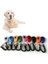 No.3 Tarzı Pet Kedi Köpek Eğitim Clicker Plastik Yeni Köpekler Tıklayın Eğitmen Yardımı Çok Ayarlanabilir Bilek Kayışı Ses Anahtarlık Köpek Supplieece (Yurt Dışından) 3