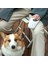 Mor Tarzı 3 Milyon Streamer LED Işıkları Köpek Tasması Otomatik Uzanan Naylon Tasma Talepleri Premium Dayanıklı Evcil Hayvan Yürüyüş Talepleri Çekiş Halatı Evcil Hayvan Ürünleri (Yurt Dışından) 2