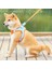 Turuncu Tasma Stili M Beden Turuncu Pet Tasma Kedi Yelek Kırmızı Köpek Göğüs Koşum Ayarlanabilir Naylon Nefes Yansıtıcı Açık Yürüyüş Köpek Göğüs Kemeri Yavru Kedi (Yurt Dışından) 4