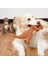Flamingo Tarzı Köpek Oyuncakları Yumuşak Peluş Cızırtılı Köpek Oyuncakları Karikatür Sevimli Dinozor Evcil Kedi Oyuncak Açık Oyun Etkileşimli Küçük Köpek Çiğneme Molar Oyuncaklar (Yurt Dışından) 3