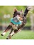 Mavi Stil Uçan Daire Köpek Oyunu Uçan Diskler Oyuncaklar Kedi Çiğneme Sızdıran Yavaş Gıda Besleyici Top Köpek Yavrusu Iq Eğitim Oyuncak Anti Boğulma Bulmaca Köpekler (Yurt Dışından) 2