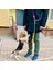 Mavi Stil Köpek Koşum Tasması Tasmaları Köpekler Için Talepler Askılı Omuz Eller Serbest Tasmalar Köpek Zinciri Çift Kafalı Tasma Köpekleri Yürüteç (Yurt Dışından) 3