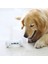 Mavi Aksesuar Stili Yeni Wıckedbone Akıllı Telefon Uygulaması Kontrolü Köpekler Için Pet Duygusal Etkileşim Kemik Pet Duygular Oyuncak (Yurt Dışından) 2