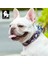 Lacivert Blazer Tarzı M Beden Truelove Çiçekli Evcil Hayvan Tasması En Iyi Dolgulu Rahat Yastık Kamuflaj Küçük Orta ve Büyük Köpekler ve Evcil Hayvanlar Dış Mekanda Koşu TLC5273 (Yurt Dışından) 3