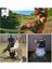 Siyah Stil Xl 50-55CM Boyun Truelove Ayarlanabilir Köpek Tasması Naylon Örgü Yastıklı Pet Yaka Köpek Eğitimi Için Yansıtıcı Açık Rahat Köpek Kolye Pet Için (Yurt Dışından) 3