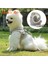 Pembe Tarzı L Beden Köpek Zinciri Tasma Koşum Yansıtıcı Nefes Göğüs Kemeri Teddy Bichon Pet Giysi Malzemeleri Chihuahua Bulldog Için Köpek Yaka (Yurt Dışından) 2