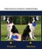 Sarı Stil L Beden Köpek Oyuncakları Gıcırdayan Zıplayan Top Köpekler Için Dayanıklı Oyuncaklar Küçükten Büyüğe Köpek Molar Dişi Için Isırma Dirençli Pet Aksesuarları35 (Yurt Dışından) 4